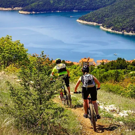 Nori Labin (Istria)